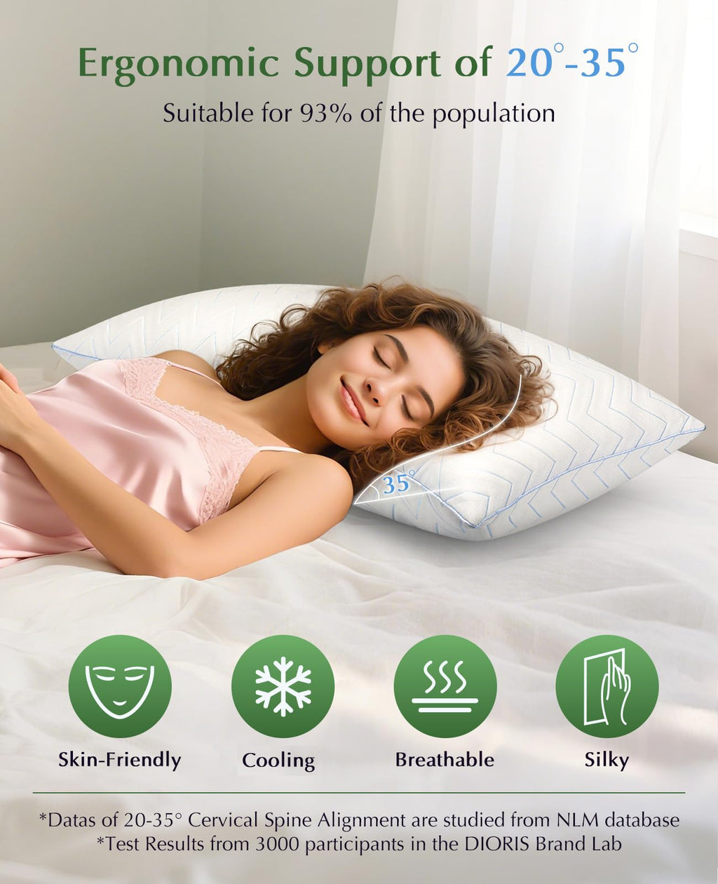 King Size Pillows Set of 2 Q255012