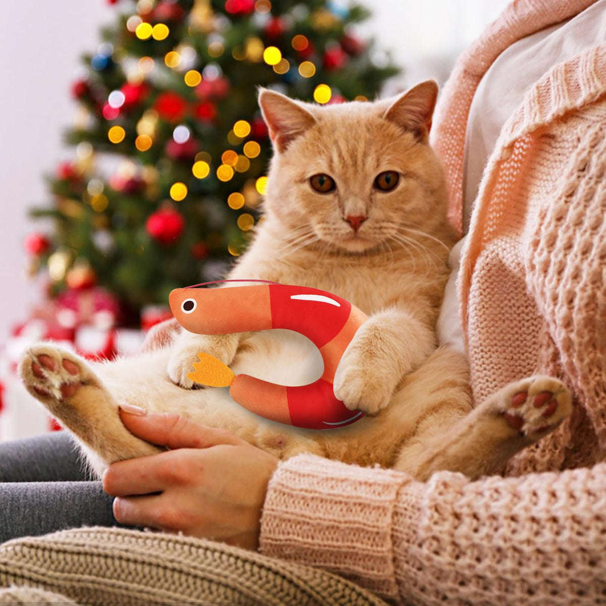 2 Pcs Catnip Plush Cat Toys with Bells Y3000