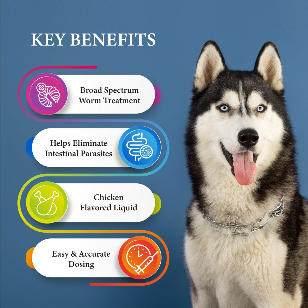 Broad Spectrum Dog Dewormer Treatment 120ml Banana Flavour G312374