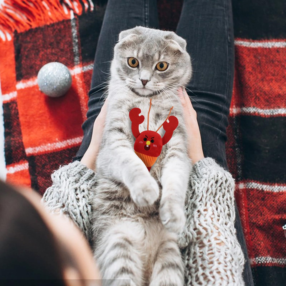 2 Pcs Catnip Plush Cat Toys with Bells Y3000