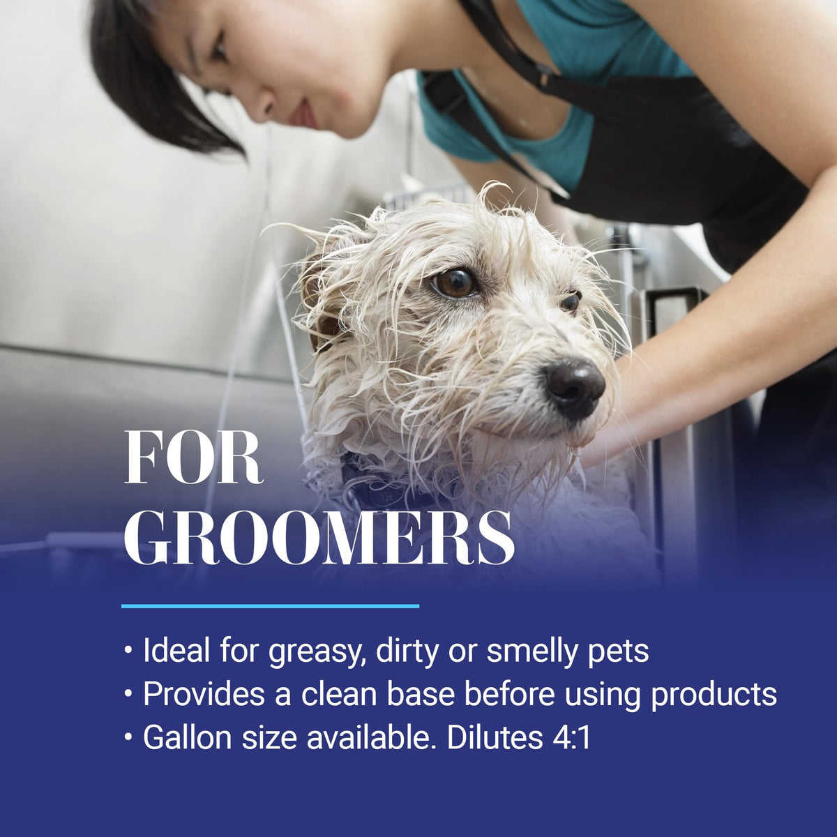 Dog Shampoo J607130