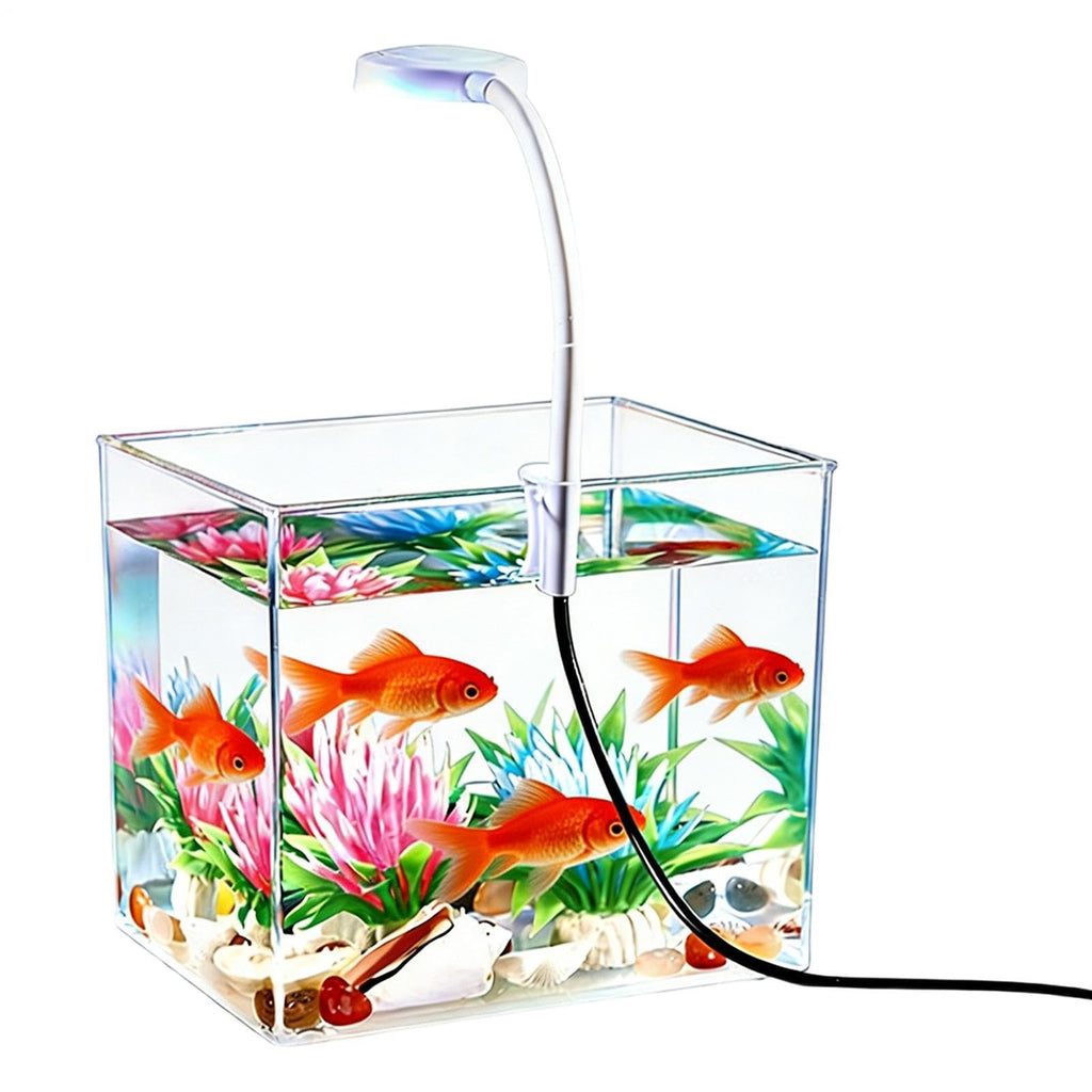 Small Aquarium with LED Lights G421