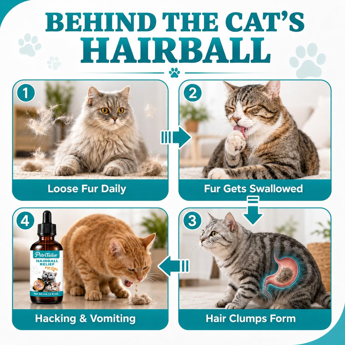 Cat Hairball Remedy Drops O956