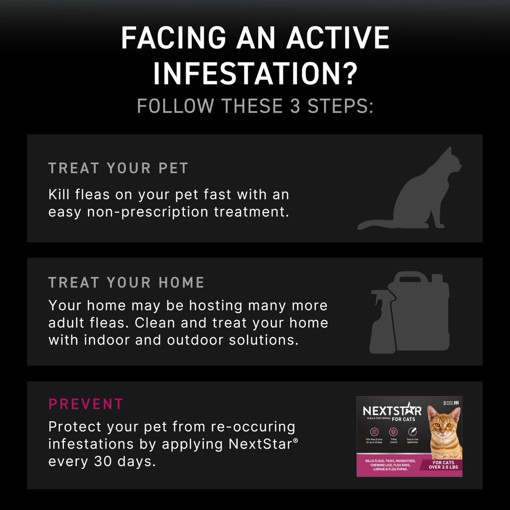 Flea & Tick Topical Cats 3-Month C337