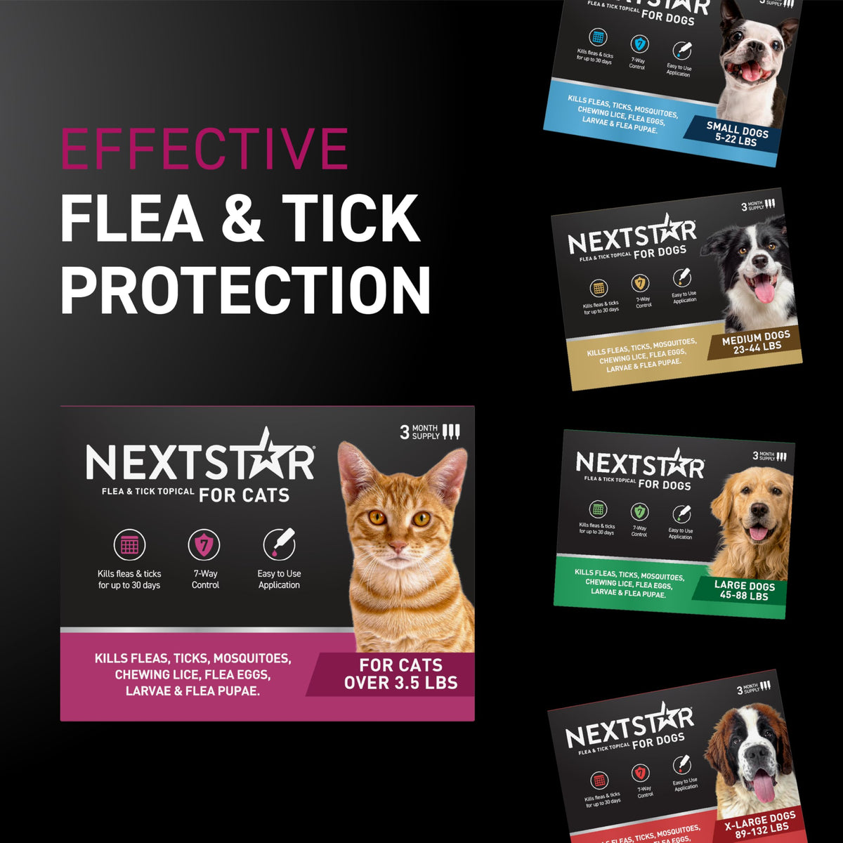 Flea & Tick Topical Cats 3-Month C337