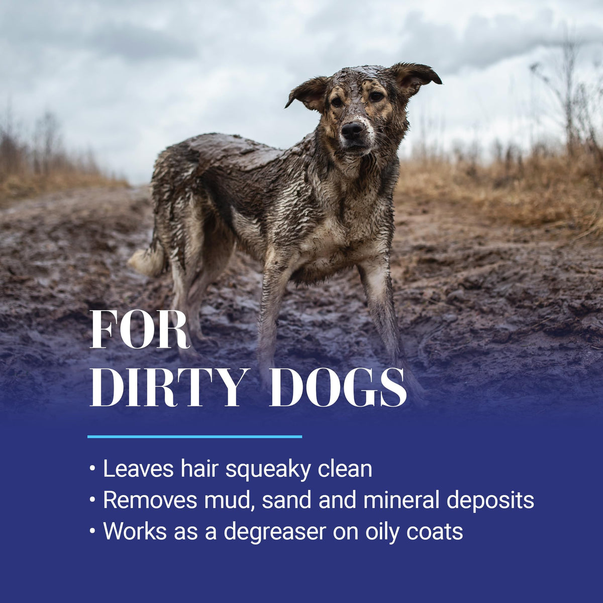 Dog Shampoo J607130