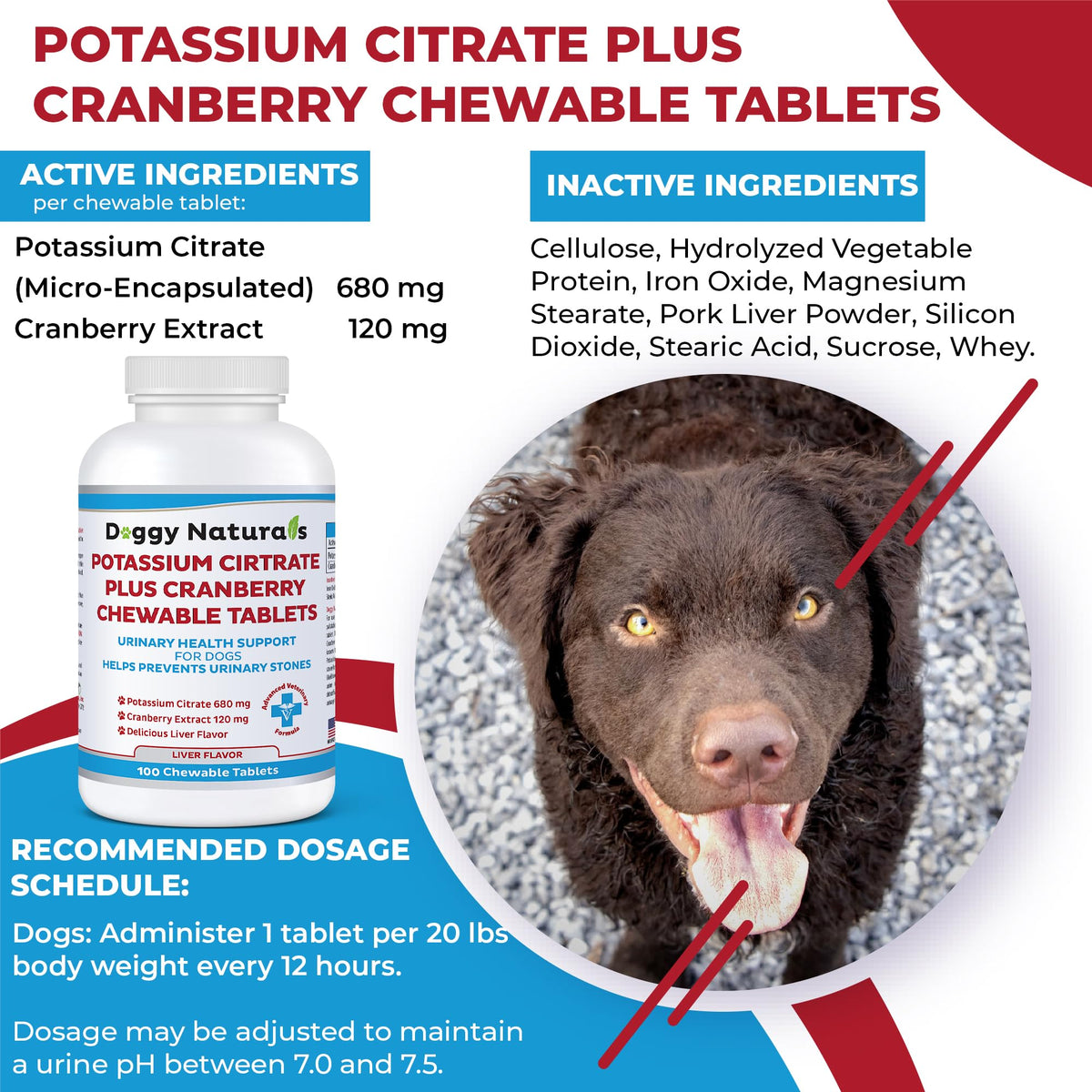 Potassium Citrate Plus Cranberry Supplement for Dogs (100 Tablets) X343244