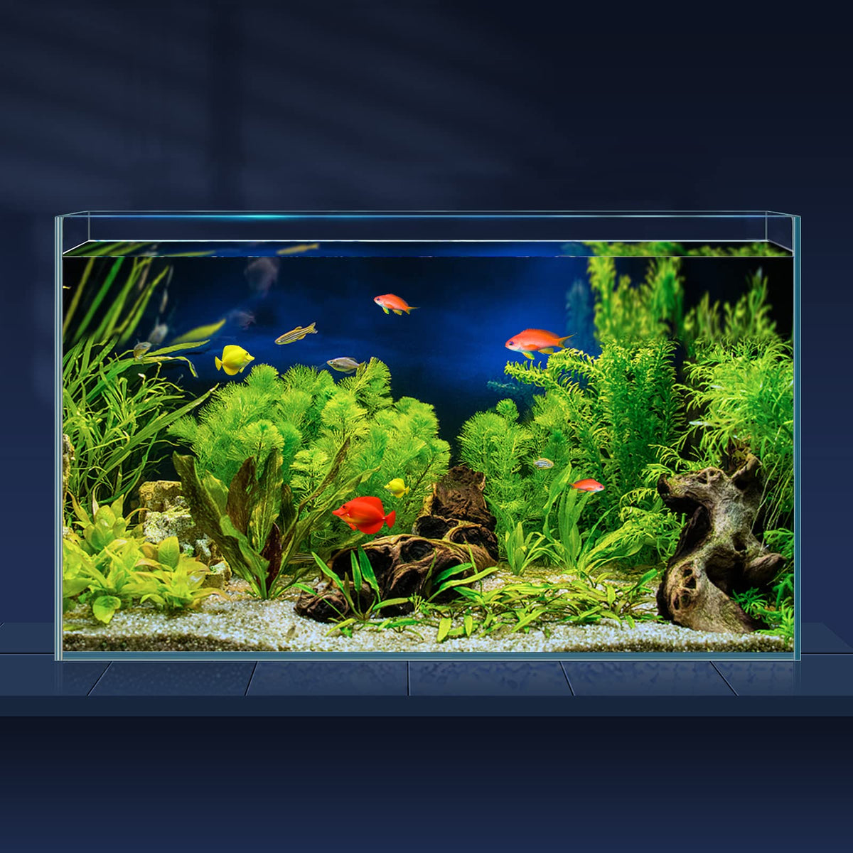 10 Gallon Ultra Clear Rimless Low Iron Glass Fish Tank H451619