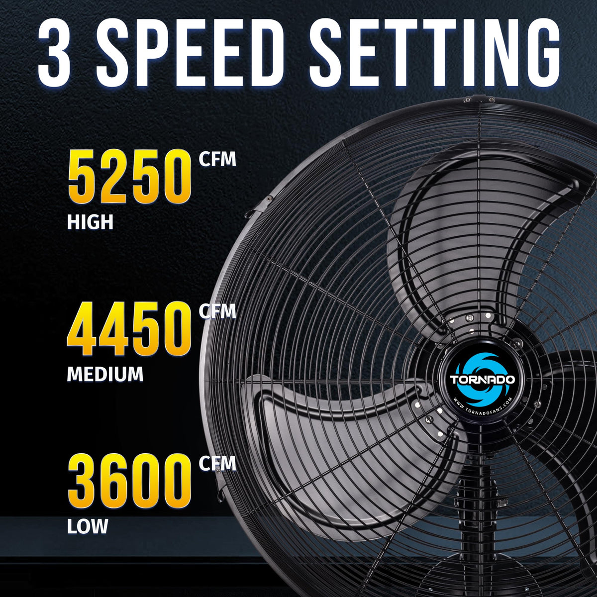 20 Inch Oscillating 3-Speed Waterproof Wall Mount Fan M824