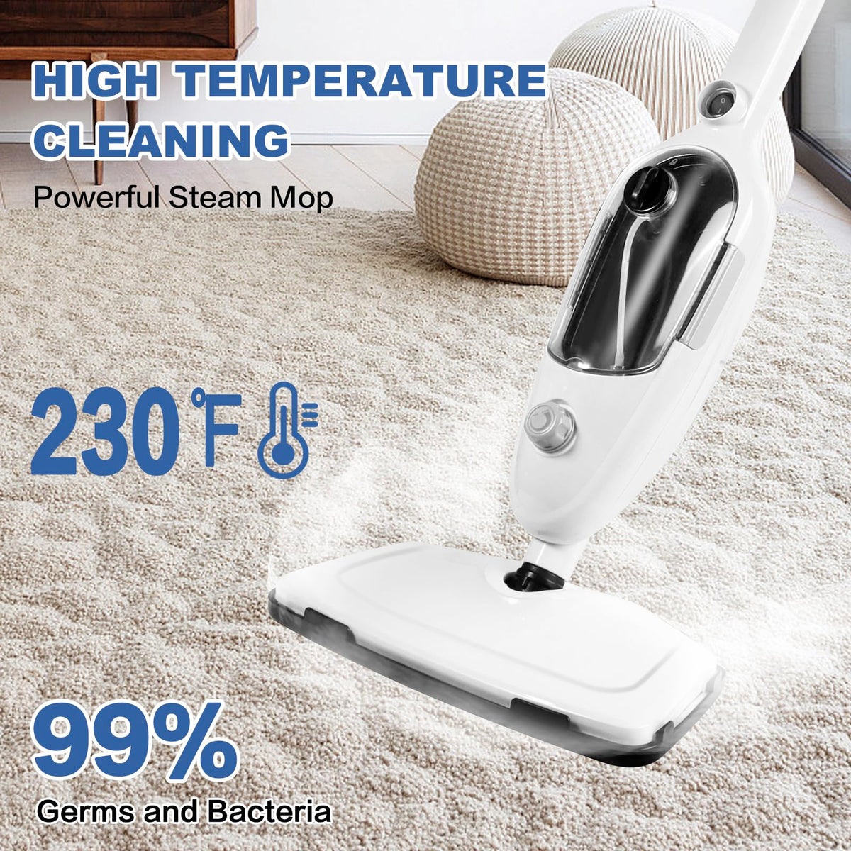 10-in-1 Detachable Handheld Steam Mop Cleaner M276